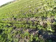 Ngelani Agricultural Land for Sale - 3 Acres Near River - 1