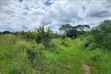 Ngelani Agricultural Land for Sale - 3 Acres Near River - 2