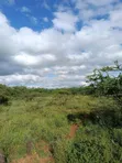Ngelani Agricultural Land for Sale - 3 Acres Near River - 3