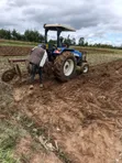 New Holland TT75 2WD Tractor - 1