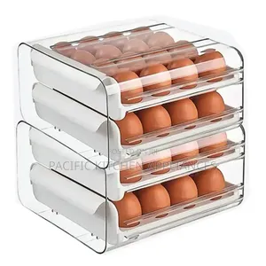 Acrylic Egg Storage Tray - Inashikilia Mayai 32