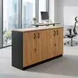 Ofisi ya Uhifadhi Credenza - GE Kabati - 1