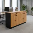 Ofisi ya Uhifadhi Credenza - GE Kabati - 2