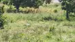 Ardhi ya Dongo Kundu Bypass kwa Maendeleo Mchanganyiko - Eka 6 - 1