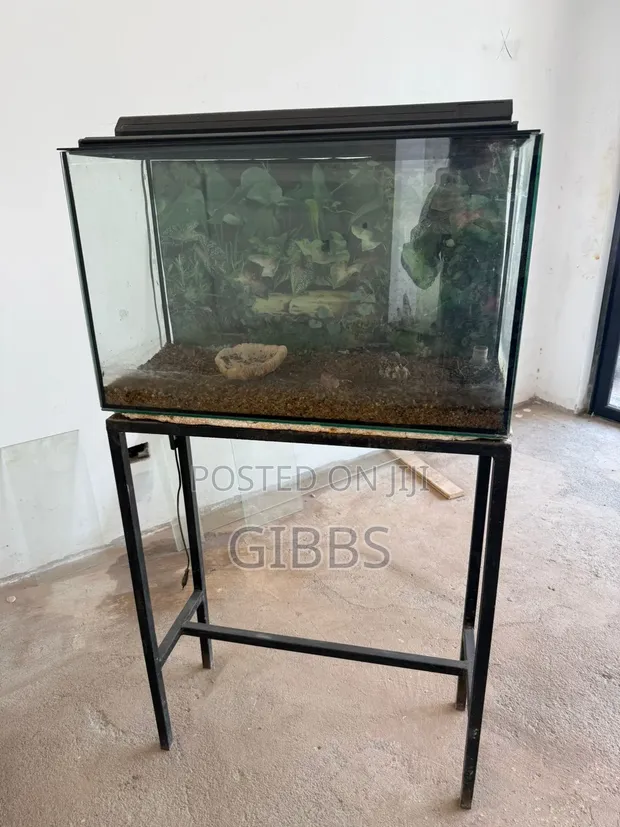 110L Glass Aquarium with Stand, Cover & Gravel - 1