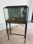 Kioo cha Aquarium cha Lita 110 na Stand, Jalada & Changarawe - 1