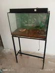 Kioo cha Aquarium cha Lita 110 na Stand, Jalada & Changarawe - 2