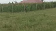 50x100 Residential Plot for Sale, KBC Joska Kamulu - 2