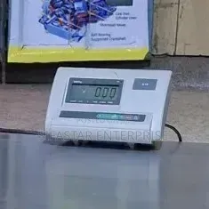 A12 Weighing Indicator LCD