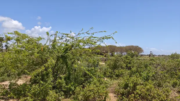 10.9 Acres Land for Sale in Tezo, Zowerani - Ksh. 1.8M/Acre - 1