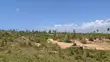 Eneo la Eka 10.9 Linauzwa Tezo, Zowerani - Ksh. 1.8M/Eka - 4