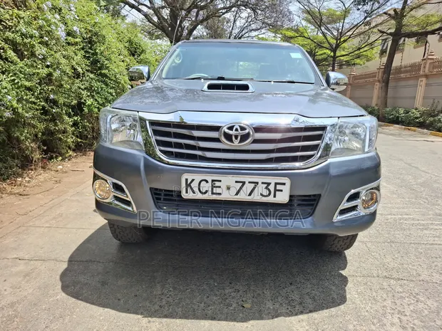 Toyota Hilux 3.0 D-4D Double Cab 2008 - 1