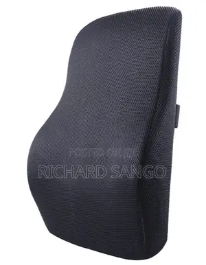 Orthopedic Ergonomic Back Support Pillow
