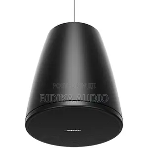 Bose DesignMax DM5P Spika za Professional (Jozi)