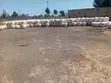 Silage Iliyofungwa - Forage Bora ya Mahindi - 1