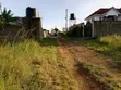 Kitalu cha 50x100 kwa Mauzo Juja Mang'u (Witethie) - 3