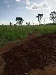Kitalu cha 50x100 kwa Mauzo Juja Mang'u (Witethie) - 5