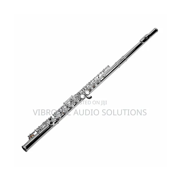 Suzuki C Key 16-Hole Closed-Hole Flute (Brand New) - 1