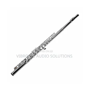 Suzuki C Key 16-Hole Closed-Hole Flute (Mpya Kabisa)