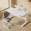 Adjustable Standing Office Desk - White - 2