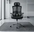 Ergonomic High-Back Office Chair - 1