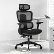 Orthopedic Mesh Office Chair - Black - 3