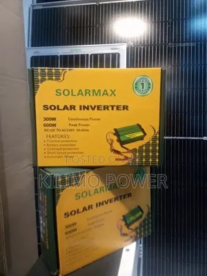 Solar Max 300W Power Inverter