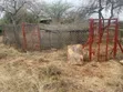 Ekari 5 za Kajiado kwa Uuzaji Barabara ya Kajiado-Emali - 2