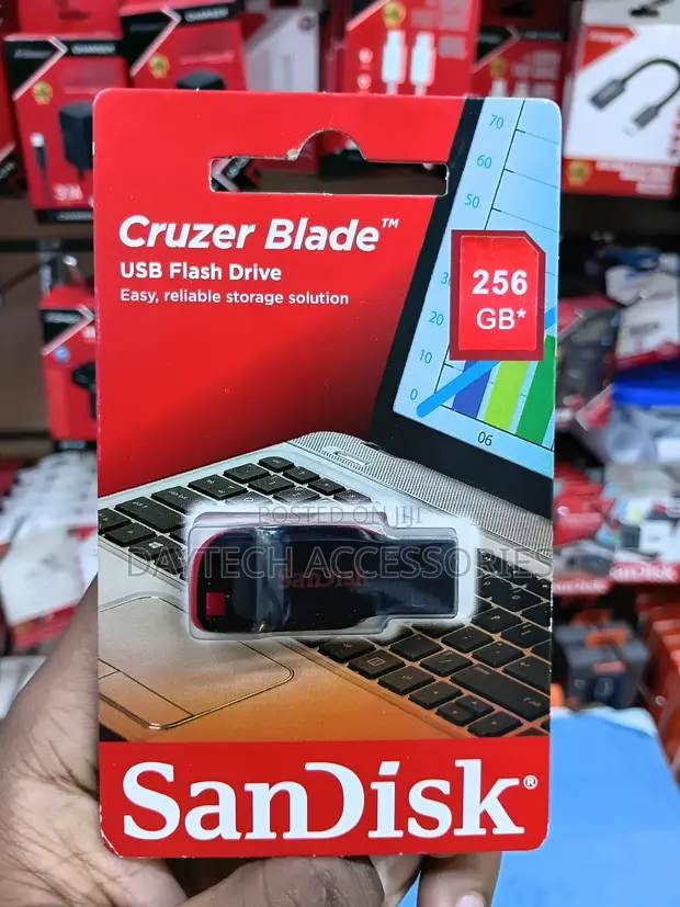 SanDisk Cruzer Blade 256GB USB 2.0 Flash Drive - 1
