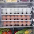 34 Grid Egg Storage Box - GE - 2