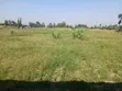 Plot for Sale at San Marco Settlement Scheme, Rongai, Nakuru - 3