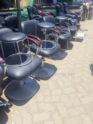 Barber and Salon Hydraulic Styling Chair