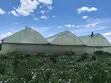 Huduma za Ufungaji wa Greenhouses - 2