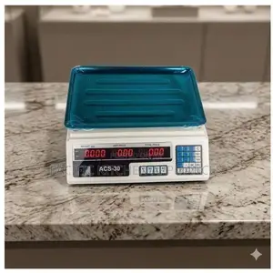 ACS Digital Price Computing Scale - Brand New