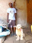 Mbwa Mzazi wa Kiume wa Maltese, Zaidi ya Mwaka 1 - 5