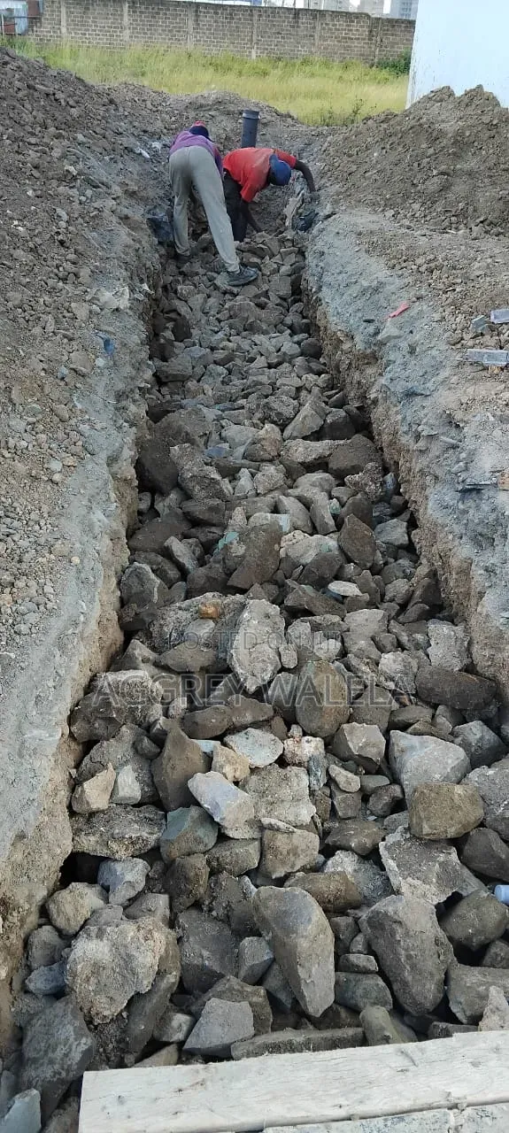Plumbing and Bio-Digester Services - 1