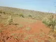 Residential Land for Sale in Saikeri, Ngong - 1
