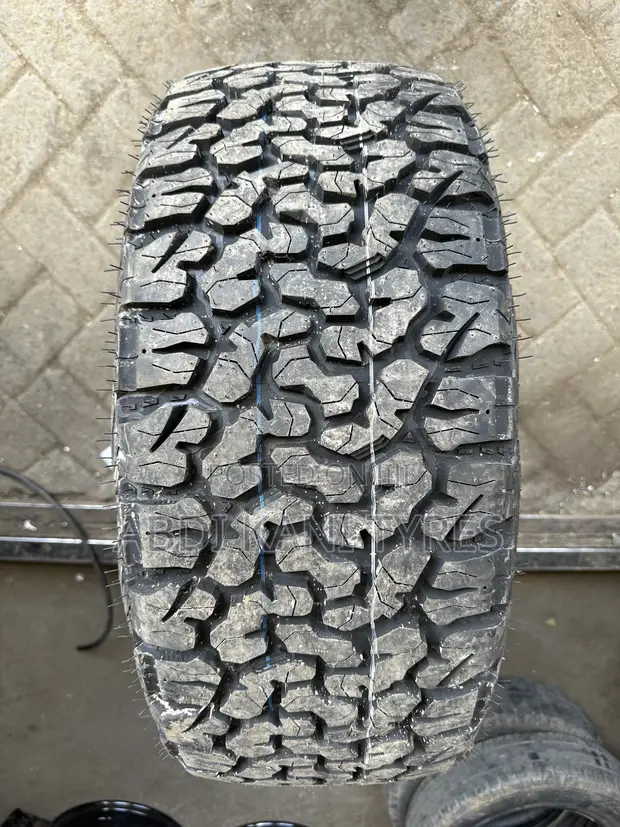 Brand New 265/55R19 Widewaye Tires - 1