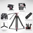 FVT-901G 79 Inch Heavy Duty Tripod with Fluid Head - 2