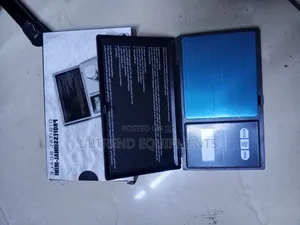 500g Professional Mini Crane Scale