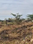 Commercial Plots for Sale - Northern Bypass, Marurui (50x100) - 1