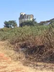 Commercial Plots for Sale - Northern Bypass, Marurui (50x100) - 2