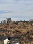 Commercial Plots for Sale - Northern Bypass, Marurui (50x100) - 3