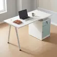 Kikao cha Ofisi Moja kwa Moja cha 120cm - 1