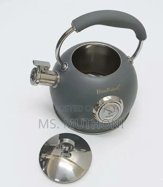 Haus Roland 3L Matte Grey Whistling Kettle - 1