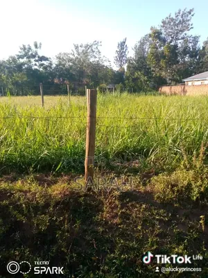 Kiwanja Kinauzwa Bungoma County, Kimwanga