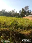 Kiwanja Kinauzwa Bungoma County, Kimwanga - 2