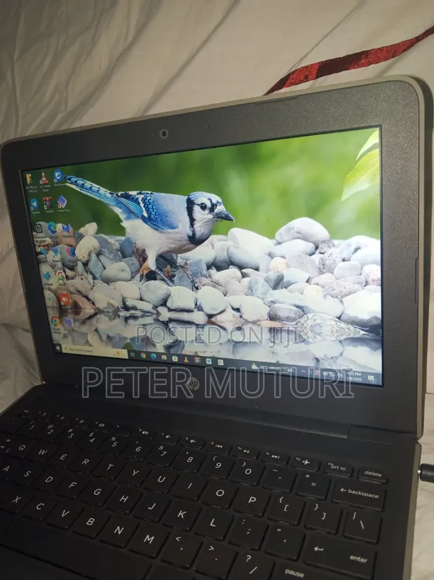 Laptop HP Stream 11 Pro G4 EE 4GB RAM, 60GB eMMC - 1