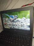 HP Stream 11 Pro G4 EE Laptop 4GB RAM, 60GB eMMC - 1