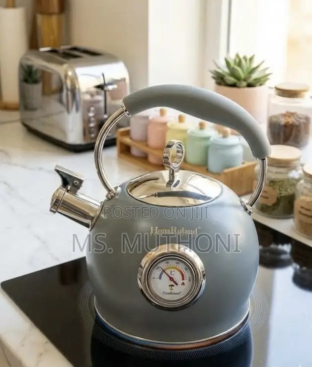 Temperature Display Whistling Kettle (3L, Induction Friendly) - 1